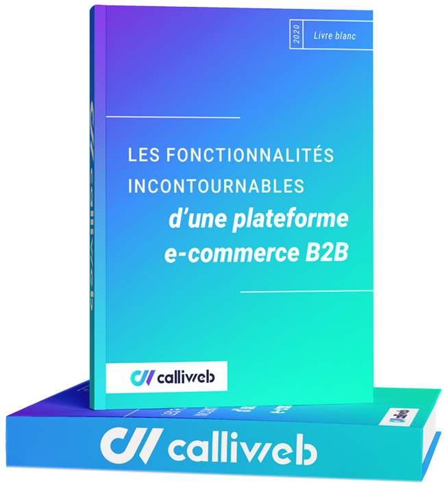 ilustration mockup livre blanc b2b