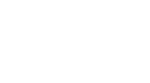 G20
